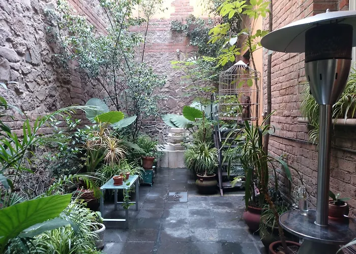 El Patio 77 B&B México DF